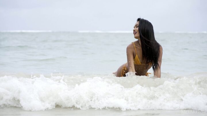 Preview 3