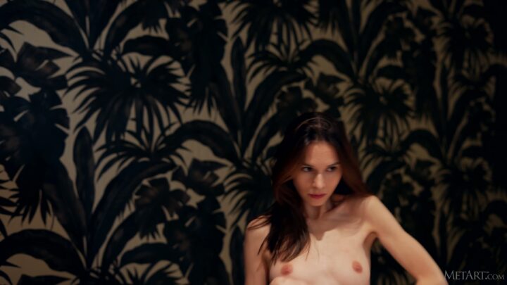 Preview 5