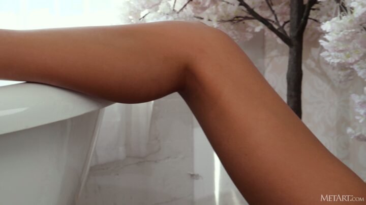 Preview 9