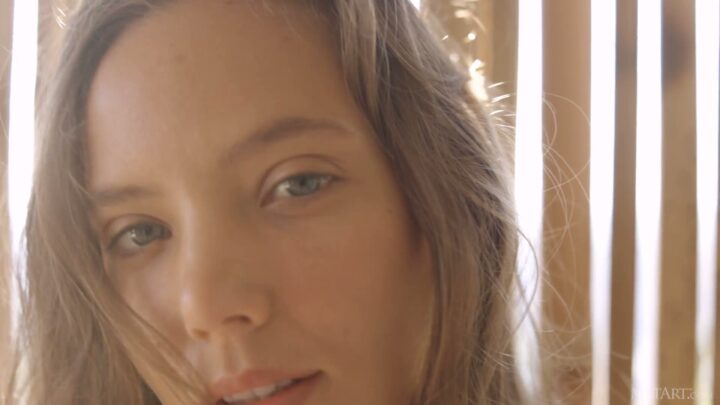 Preview 5