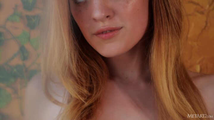 Preview 5