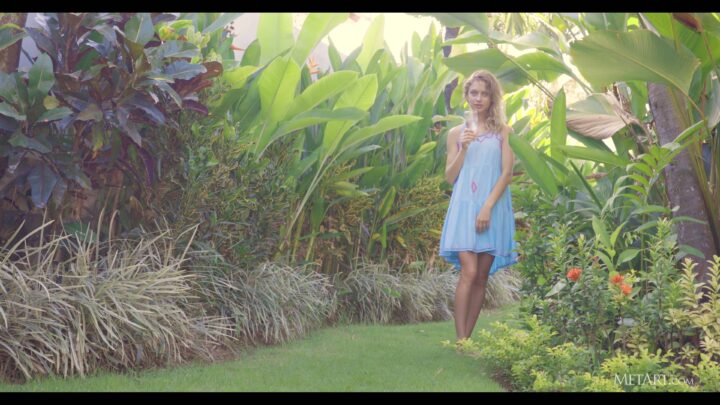 Preview 3