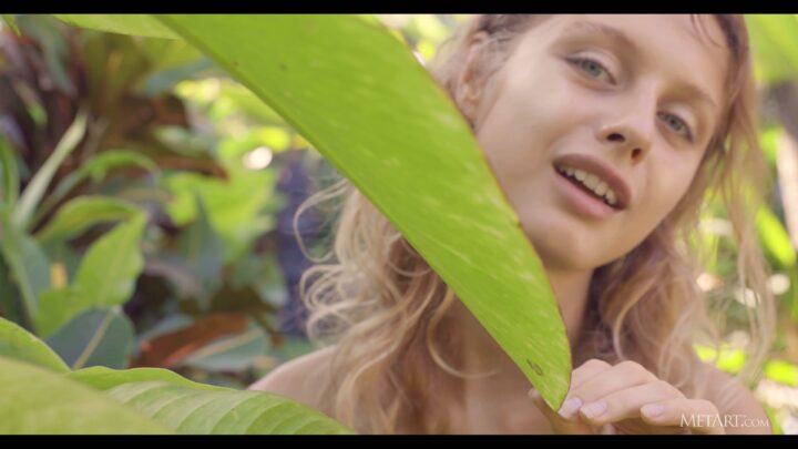 Preview 8