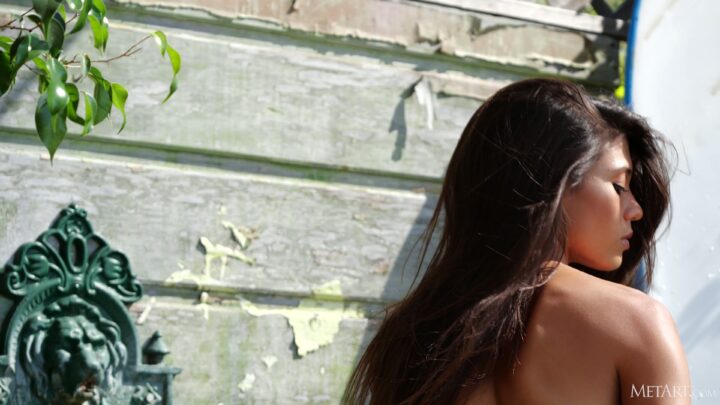 Preview 9