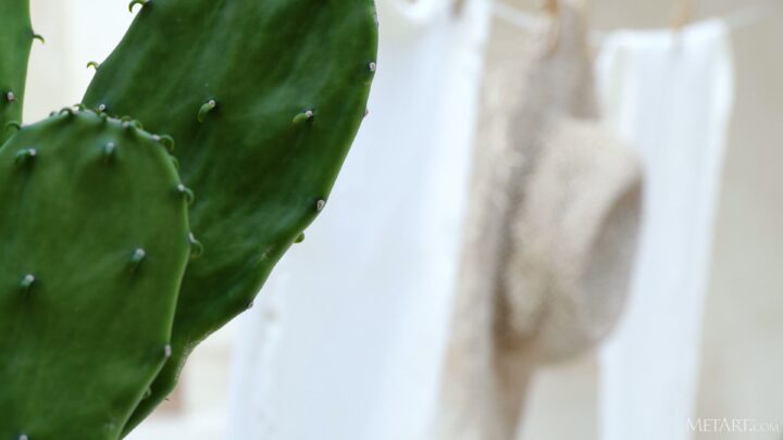 Preview 5