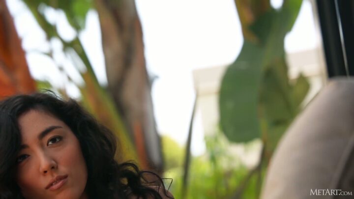 Preview 8