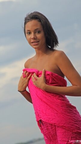 Preview 3