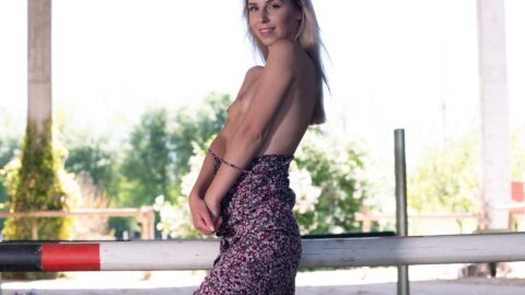 Preview 5