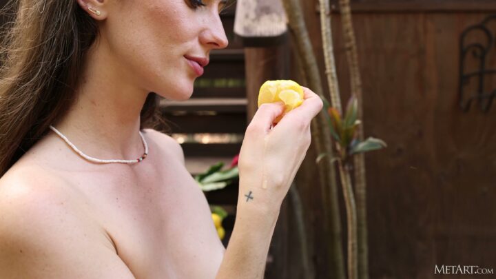 Preview 12