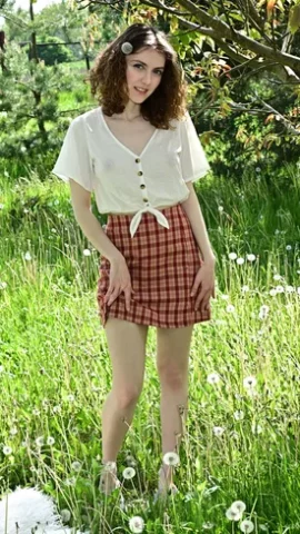 Preview 4