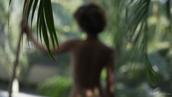 Preview 7