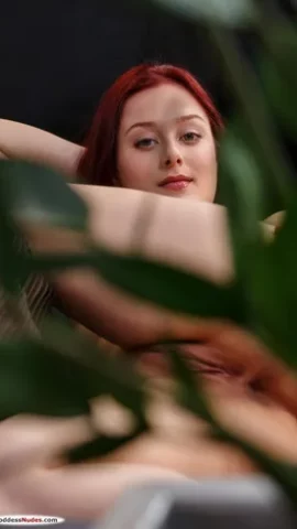 Preview 19