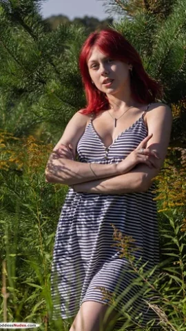 Preview 11