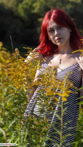 Preview 12