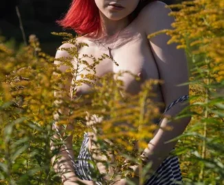 Preview 13