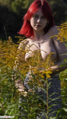 Preview 14