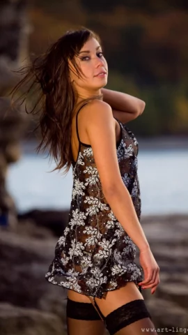 Preview 4