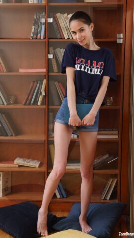 Preview 3