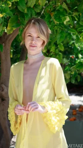 Preview 12