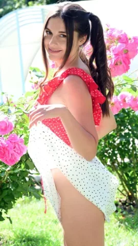 Preview 5