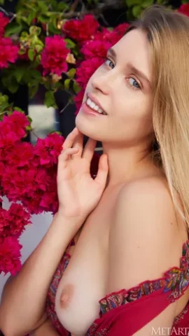 Preview 15