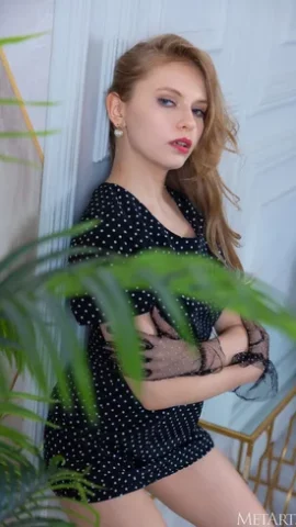 Preview 7