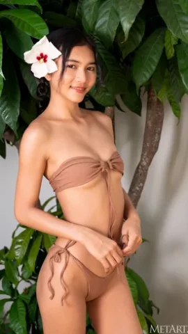 Preview 17