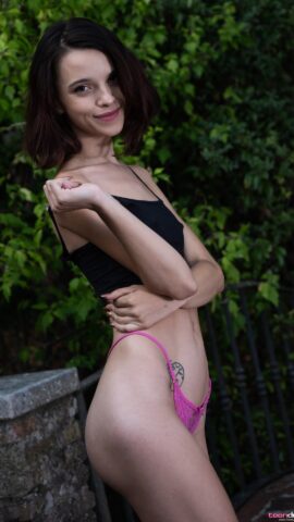 Preview 19