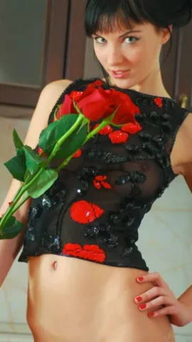 Preview 15