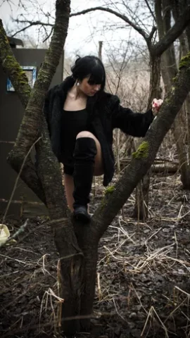 Preview 4