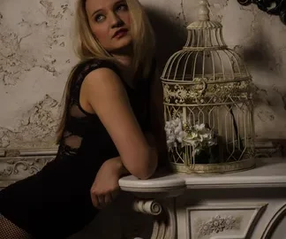 Preview 14