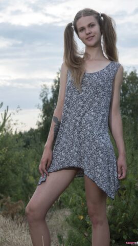 Preview 3