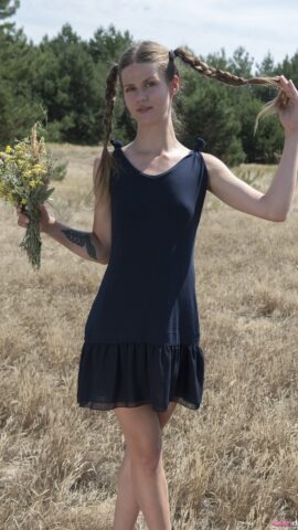 Preview 4