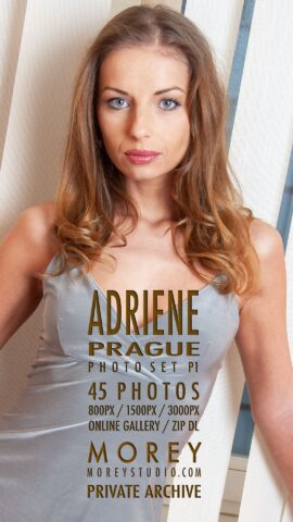 Preview 5