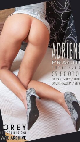 Preview 5
