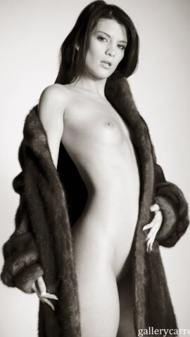 Preview 8