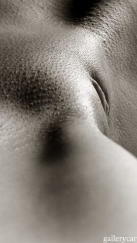 Preview 11