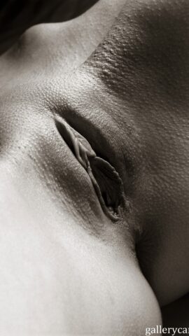 Preview 13
