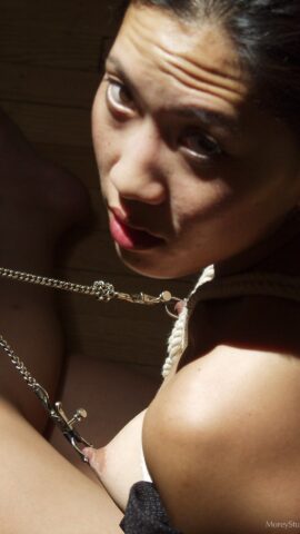 Preview 8