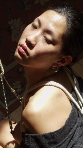 Preview 13