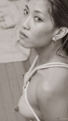 Preview 7