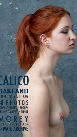 Preview 11