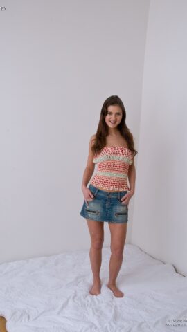 Preview 4