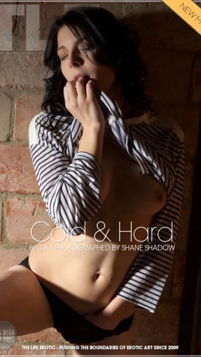 BELLA T – COLD & HARD – by SHANE SHADOW (130) TLE