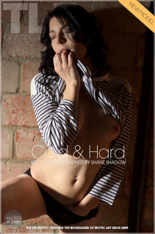 BELLA T – COLD & HARD – by SHANE SHADOW (130) TLE