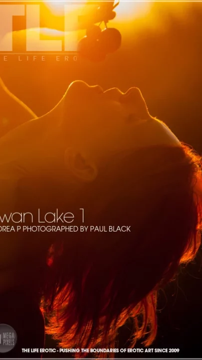 ANDREA P – SWAN LAKE 1 – by PAUL BLACK (120) TLE