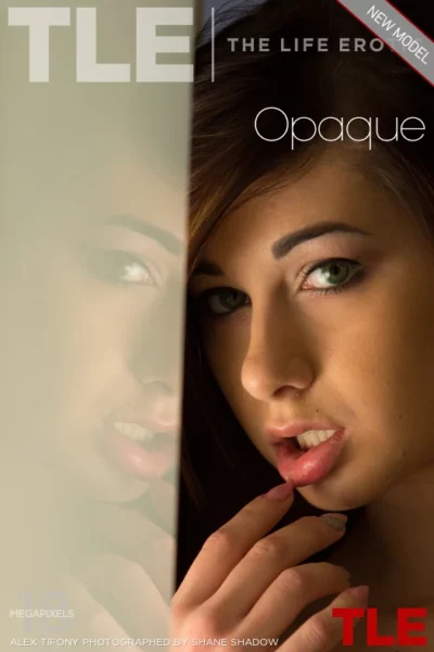 ALEX TIFONY – OPAQUE – by SHANE SHADOW (135) TLE