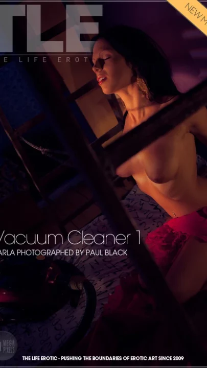 DARLA – VACUUM CLEANER 1 – by PAUL BLACK (120) TLE