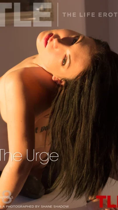 LEILA A – THE URGE – by SHANE SHADOW (124) TLE