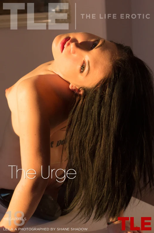 LEILA A – THE URGE – by SHANE SHADOW (124) TLE